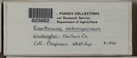 Image Associated With the Occurence